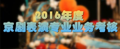 东北老太太操B国家京剧院2016年度京剧表演专业业务考...